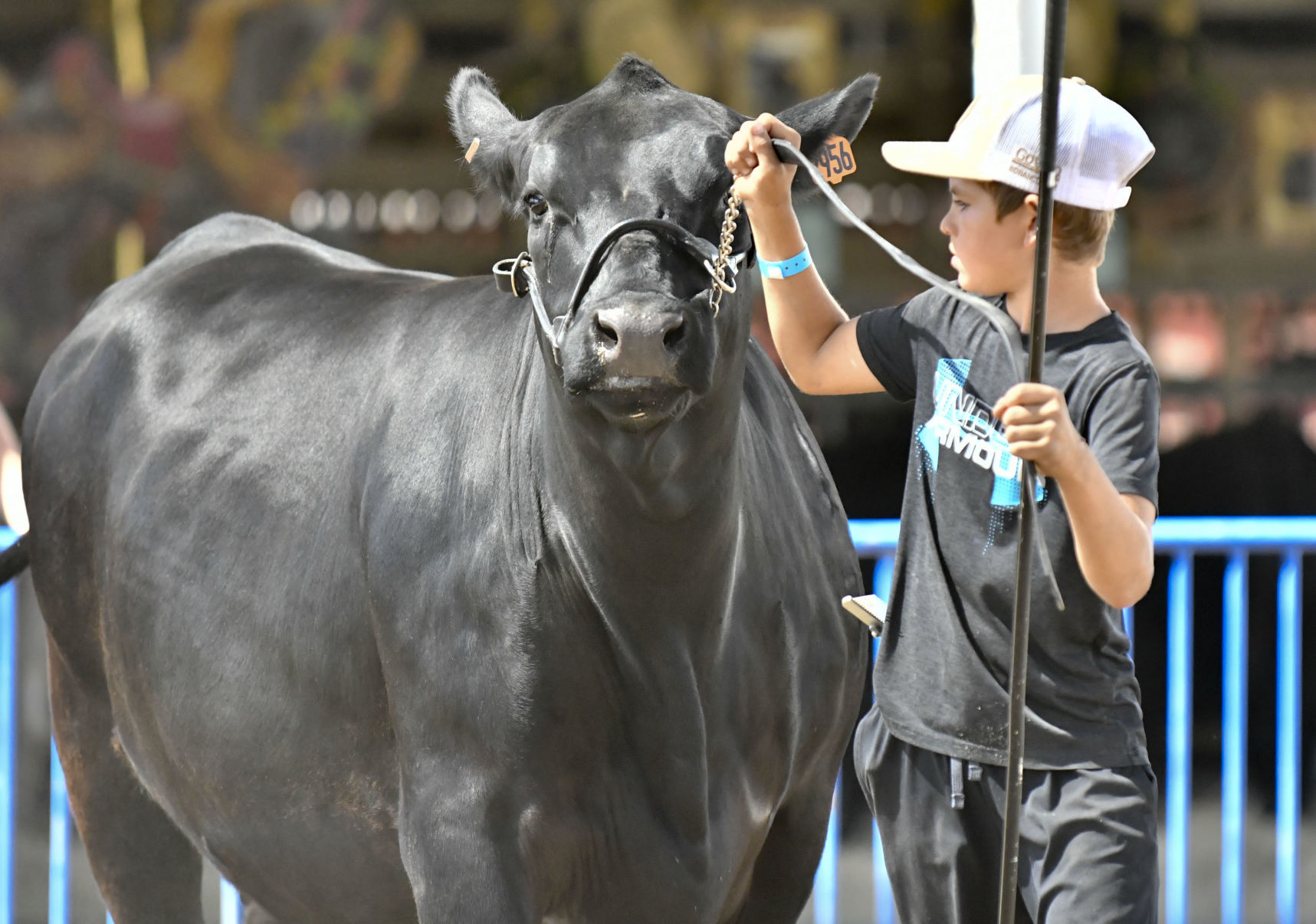 071018 Fair Tuesday 04.jpg